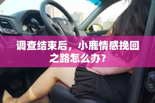 调查结束后，小鹿情感挽回之路怎么办？