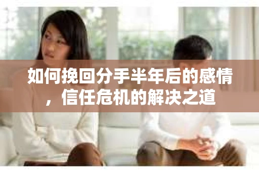 如何挽回分手半年后的感情，信任危机的解决之道