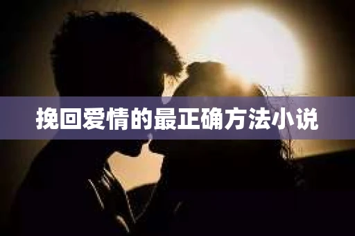 挽回爱情的最正确方法小说