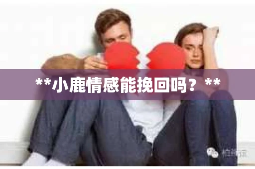 **小鹿情感能挽回吗？**