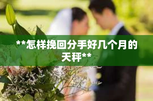 **怎样挽回分手好几个月的天秤**