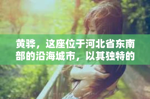 黄骅，这座位于河北省东南部的沿海城市，以其独特的地理位置和丰富的历史文化而闻名。然而，在这座城市中，还有一群人，他们以另一种方式默默守护着社会的公平与正义——私家侦探。今天，我们就来聊聊黄骅的私家侦探，看看他们是如何在这个城市中发挥作用的。