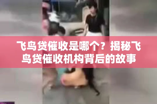 飞鸟贷催收是哪个？揭秘飞鸟贷催收机构背后的故事
