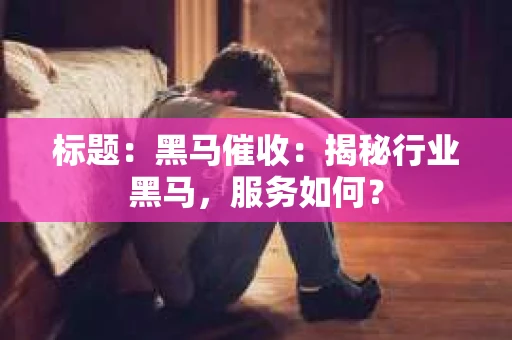 标题：黑马催收：揭秘行业黑马，服务如何？