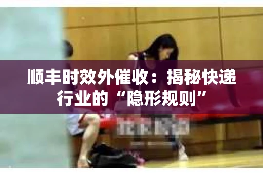 顺丰时效外催收:揭秘快递行业的“隐形规则” 顺丰时效外催收:揭秘快递行业的“隐形规则”