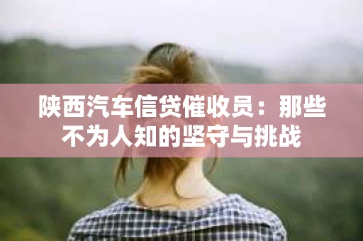 陕西汽车信贷催收员：那些不为人知的坚守与挑战
