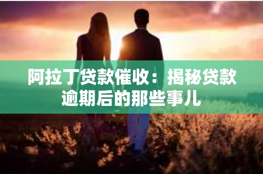 阿拉丁贷款催收：揭秘贷款逾期后的那些事儿