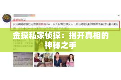 金探私家侦探：揭开真相的神秘之手