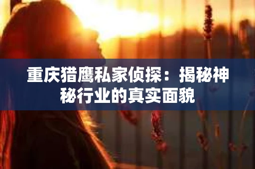 重庆猎鹰私家侦探：揭秘神秘行业的真实面貌