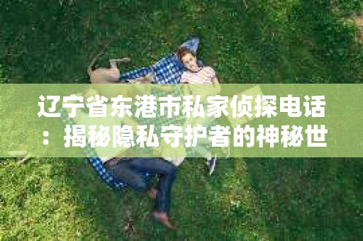 辽宁省东港市私家侦探电话：揭秘隐私守护者的神秘世界