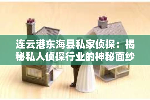 连云港东海县私家侦探：揭秘私人侦探行业的神秘面纱