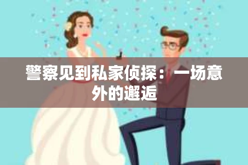 警察见到私家侦探：一场意外的邂逅