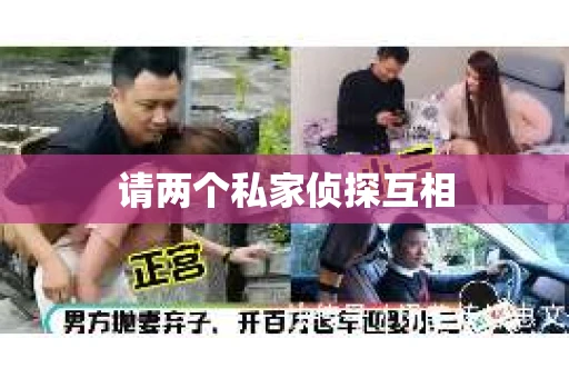 请两个私家侦探互相