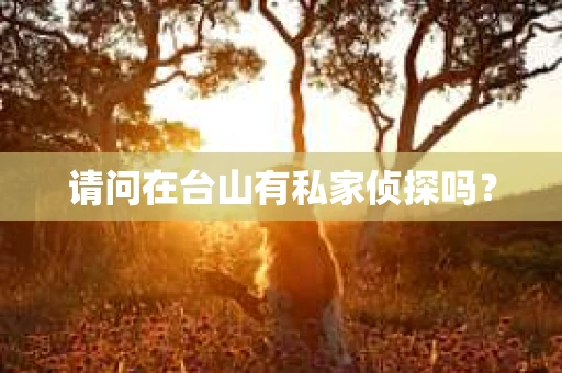 请问在台山有私家侦探吗？
