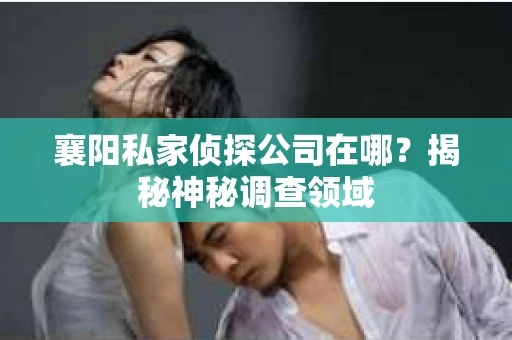 襄阳私家侦探公司在哪？揭秘神秘调查领域