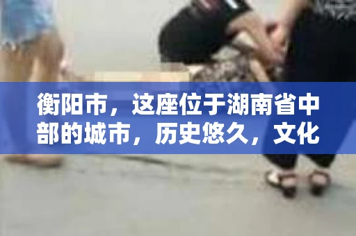 衡阳市，这座位于湖南省中部的城市，历史悠久，文化底蕴深厚。随着社会的发展，人们对于个人隐私的保护意识逐渐增强，私家侦探机构也应运而生。那么，衡阳市是否有私家侦探机构呢？今天，我们就来聊聊这个话题。