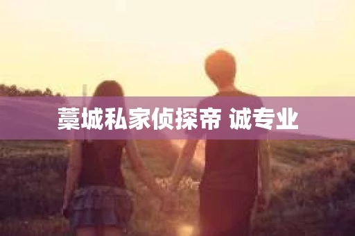藁城私家侦探帝 诚专业