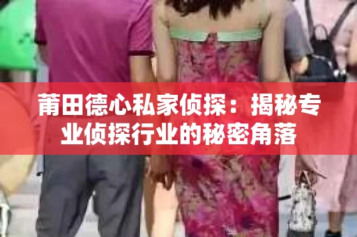 莆田德心私家侦探：揭秘专业侦探行业的秘密角落