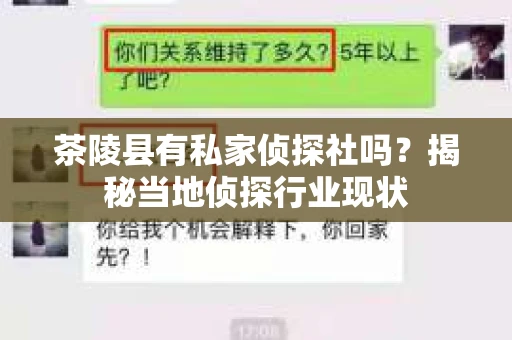 茶陵县有私家侦探社吗？揭秘当地侦探行业现状