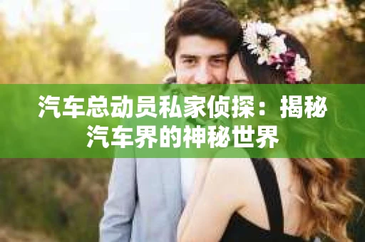 汽车总动员私家侦探：揭秘汽车界的神秘世界