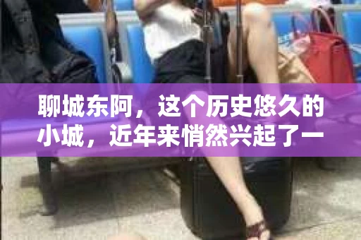 聊城东阿，这个历史悠久的小城，近年来悄然兴起了一股新的服务潮流——私家侦探。今天，我们就来聊聊这个话题，看看在聊城东阿，私家侦探是如何成为人们生活中的一部分的。