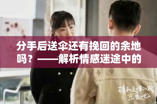 分手后送伞还有挽回的余地吗？——解析情感迷途中的决策