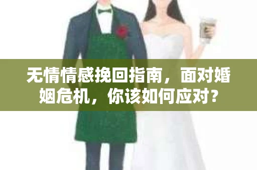 无情情感挽回指南，面对婚姻危机，你该如何应对？