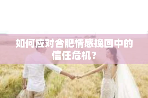 如何应对合肥情感挽回中的信任危机？