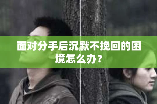 面对分手后沉默不挽回的困境怎么办？