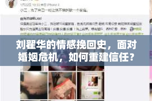刘翟华的情感挽回史，面对婚姻危机，如何重建信任？