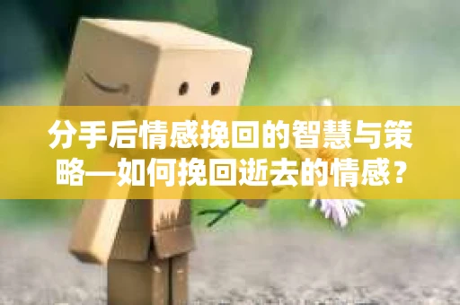 分手后情感挽回的智慧与策略—如何挽回逝去的情感？